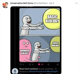 cons.jpg