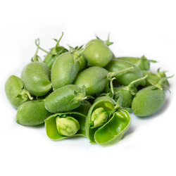 green-chickpeas[1].png