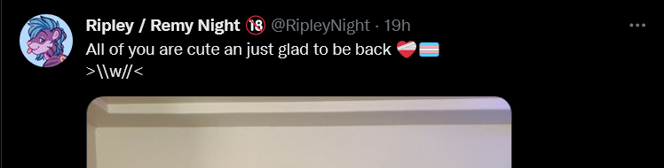 Screenshot 2022-05-21 at 17-04-39 Tweets with replies by Ripley _ Remy Night 🔞 (@RipleyNight) ...png