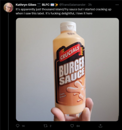Screenshot 2022-05-21 at 17-57-18 Tweets with replies by Kathryn Gibes 🔜 BLFC 🏳️‍⚧️✨ (@TransSa...png