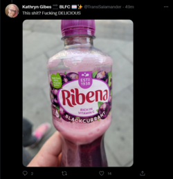 Screenshot 2022-05-21 at 18-00-25 Tweets with replies by Kathryn Gibes 🔜 BLFC 🏳️‍⚧️✨ (@TransSa...png