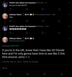 Screenshot 2022-05-21 at 18-01-51 Kathryn Gibes 🔜 BLFC 🏳️‍⚧️✨ on Twitter.png