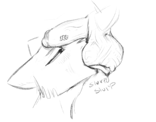 katia req 3.png