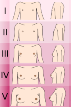 Polish_20220522_140743535.png