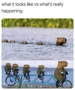 R2ekpxB.jpeg