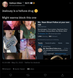 Screenshot 2022-05-23 at 11-52-40 Kathryn Gibes 🔜 BLFC 🏳️‍⚧️✨ on Twitter.png