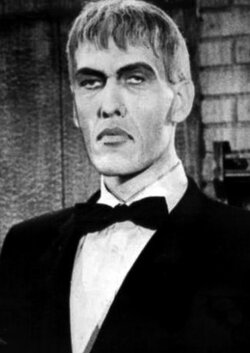 lurch-897347-normal.jpeg