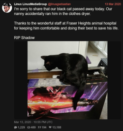 linusdeadcattweet.png