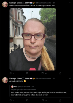 Screenshot 2022-05-24 at 17-59-55 Tweets with replies by Kathryn Gibes 🔜 BLFC 🏳️‍⚧️✨ (@TransSa...png