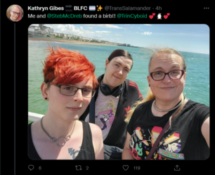 Screenshot 2022-05-24 at 18-00-52 Tweets with replies by Kathryn Gibes 🔜 BLFC 🏳️‍⚧️✨ (@TransSa...png