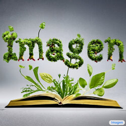 sprouts-in-the-shape-of-text-imagen.jpg