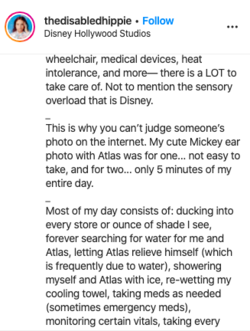 shelby495.png