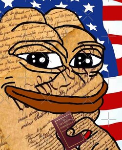 declarationpepe.jpg