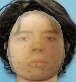 potat.png
