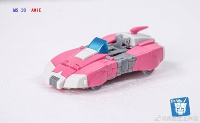 MS-30-Amie-07.jpg
