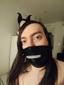 Haram-EG8l9q1XkAE4DE0.jpg