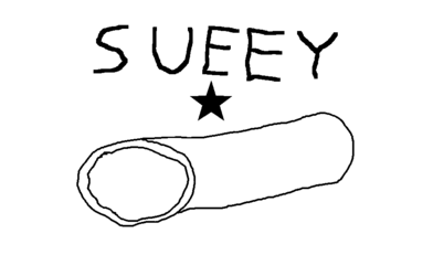 alogflag.png