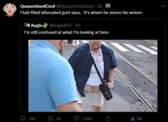 1653530525850.png