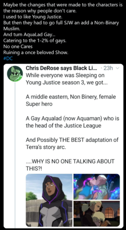 Young Justicice SJW.png
