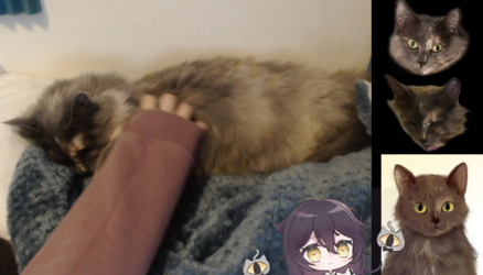 1653607229920.png