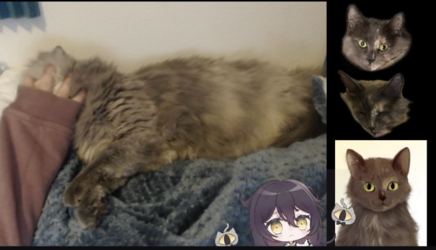 img17655775.png