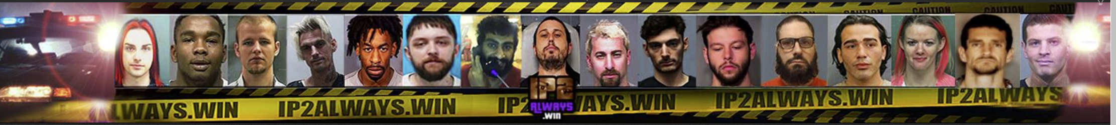 newip2banner.png