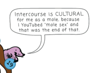 1653680087314.png