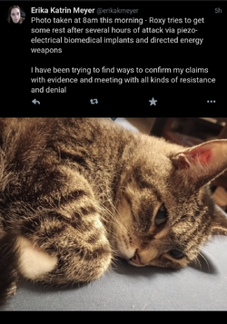 Screenshot_20220527-163331~2.png