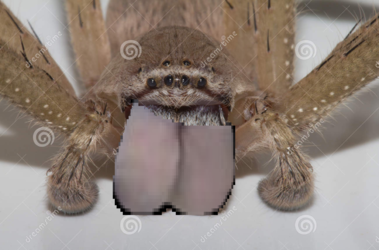 1653699951529.png