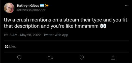 Screenshot 2022-05-28 at 17-52-51 Kathryn Gibes 🏳️‍⚧️✨ on Twitter.png
