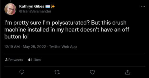 Screenshot 2022-05-28 at 17-53-00 Kathryn Gibes 🏳️‍⚧️✨ on Twitter.png