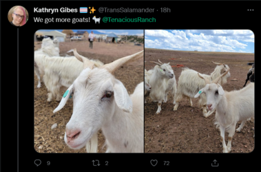 Screenshot 2022-05-28 at 17-53-56 Tweets with replies by Kathryn Gibes 🏳️‍⚧️✨ (@TransSalamande...png