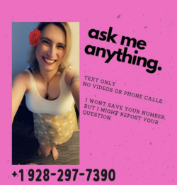 1653760286606.png