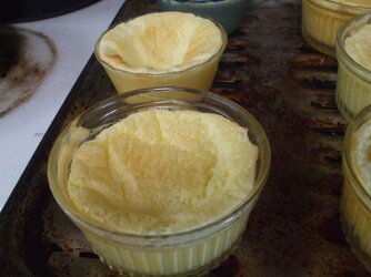 custard-souffle-fallen[1].jpg