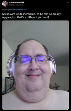 1653778434241.png