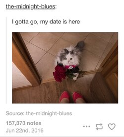 #264.jpg