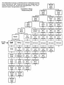 Relationship+Chart.jpg