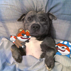 58b.png