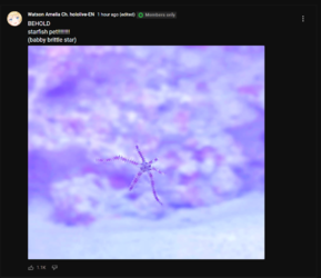 1653823944388.png