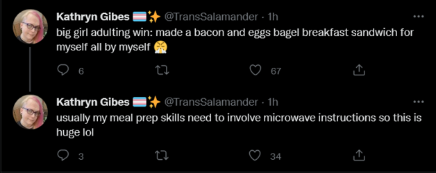 Screenshot 2022-05-29 at 17-52-21 Tweets with replies by Kathryn Gibes 🏳️‍⚧️✨ (@TransSalamande...png