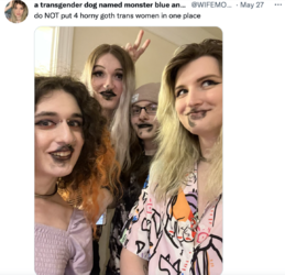 1653862327676.png