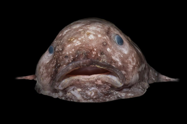 1653864161548.png