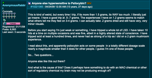 shroomery-74.png