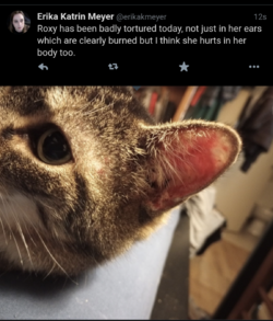 Screenshot_20220530-200400.png