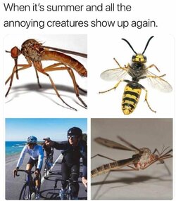 FUBAmgAXoAM1R6R.jpg
