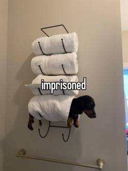 unknowndfggn.png