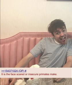 nick soyface.png