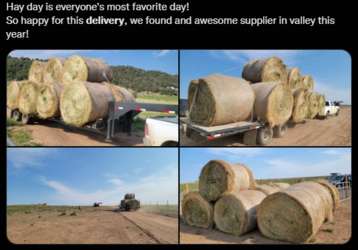 Hay Delivery.png