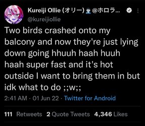 Screenshot_20220601-141603_Twitter.jpg