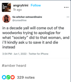 Screenshot 2022-06-01 at 15-14-56 (99 ) amber heard Tumblr.png